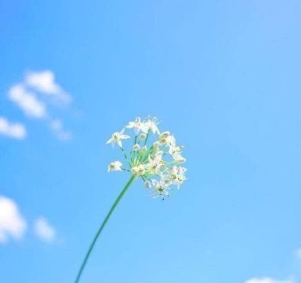 很有深意的阳光励志句子,致不甘平庸的你!