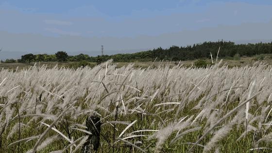 电风扇壁挂式黑科技,电风扇数码黑科技