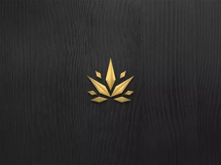 优秀品牌的vi设计案例调研,vi品牌形象设计推荐