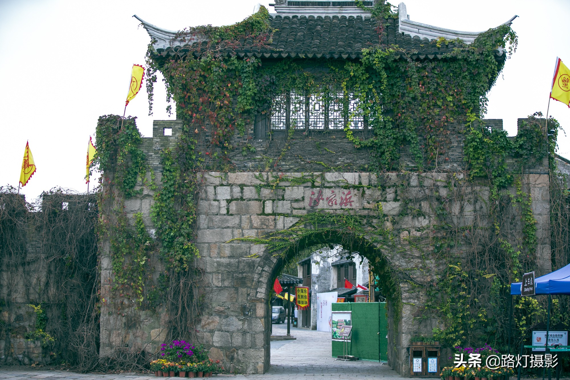 沙家浜秋色,沙家浜秋天芦苇荡