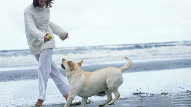女生生气闹分手怎么哄,女朋友生气了要分手怎么哄