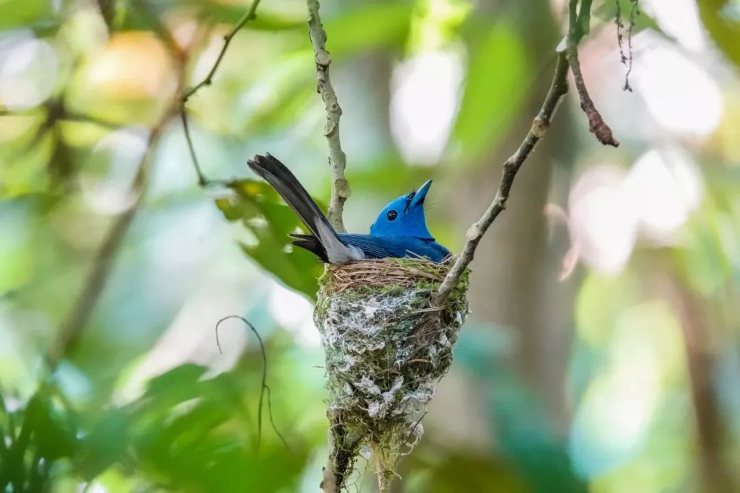 初学摄影需要买的基本器材 (新手入门摄影买什么相机)