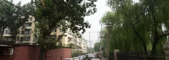 @东城老司机，走这条路不能任性了！不过还有一件好事......