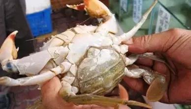 寿光羊口开海,寿光羊口哪个海鲜最好