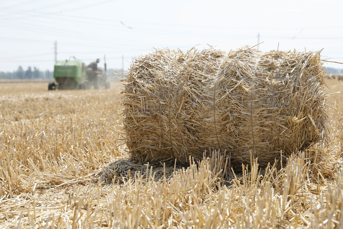 秸秆回收要怎么干最赚钱,小麦秸秆回收一年40万
