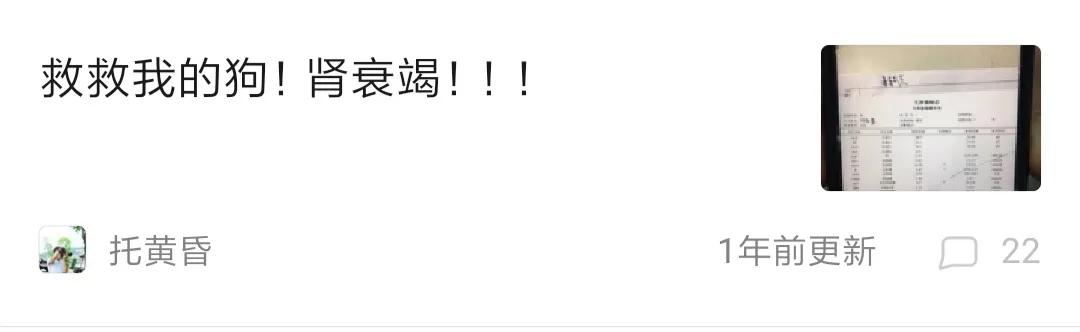 狗狗肾衰竭的治疗方法,幼犬狗狗肾衰竭