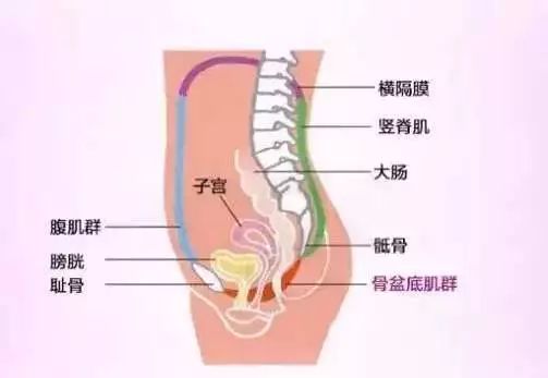 产后觉得夫妻没有感情,产后夫妻关系不好怎么回事