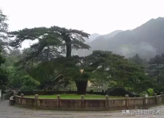 中国十大千年古寺古刹之首,中国十大千年古尸容貌复原成功