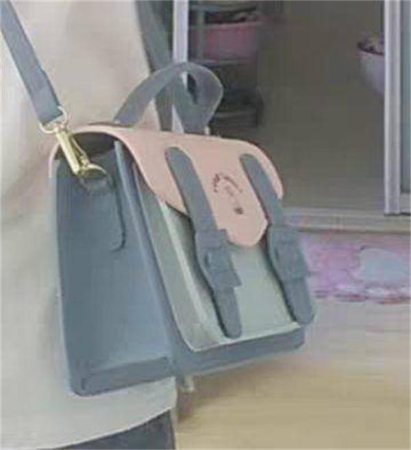 夏天小提包洋气点的刺绣包包,夏日穿的刺绣百搭包包