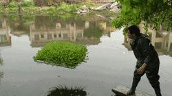 臭水塘变清水塘,臭水塘改造成景观