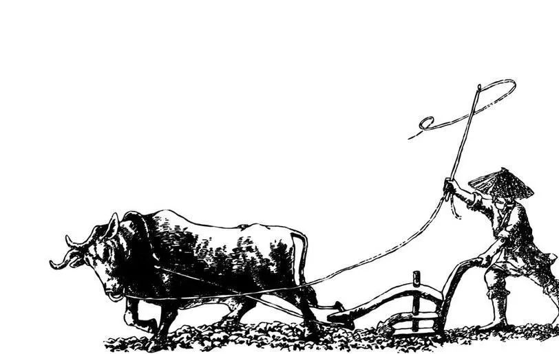 仲春初四日春色正中分古诗,今日春分昼夜平分春意融融