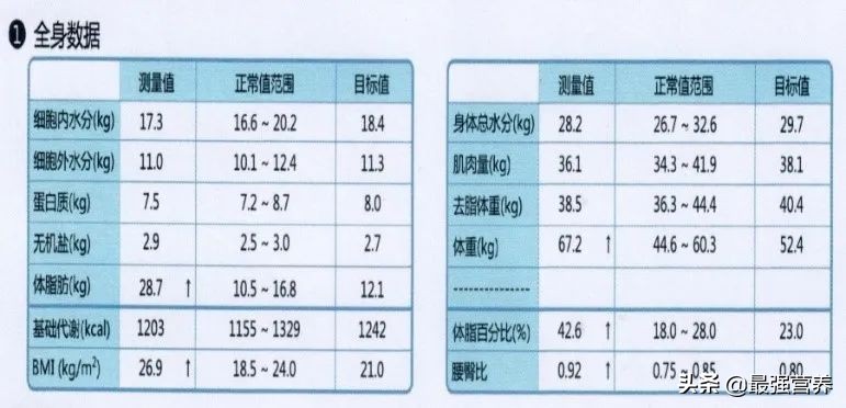 不伤身减脂,不伤身减肥
