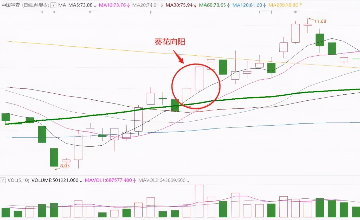 通达信个股历史复盘,通达信30日主力资金流向分析