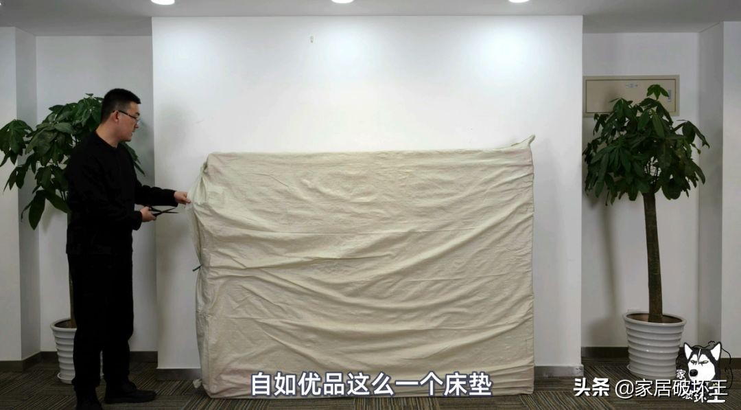 关于自如的故事,关于自如的视频