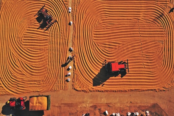 北大荒位列世界品牌500强第多少位,北大荒品牌价值已高达多少亿元