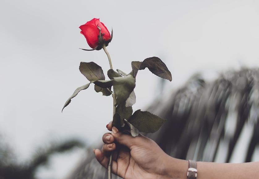 乳腺科专家谈炎性乳腺癌,乳腺科专家谈乳腺癌内分泌治疗