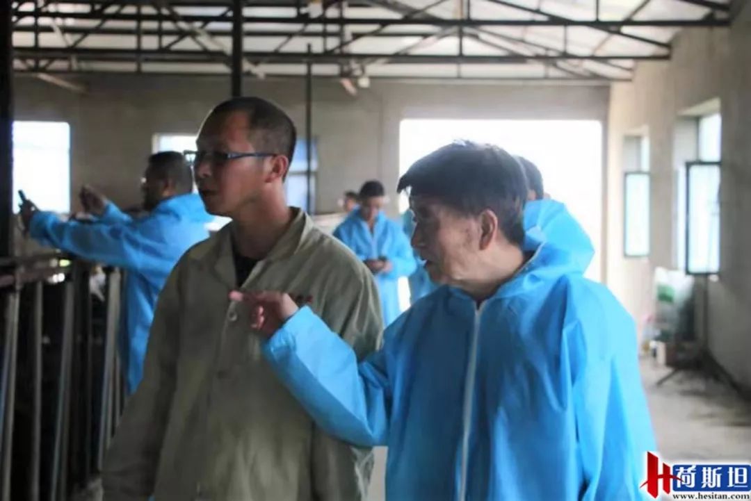 数字化奶牛养殖技术,大型奶牛场繁育新技术