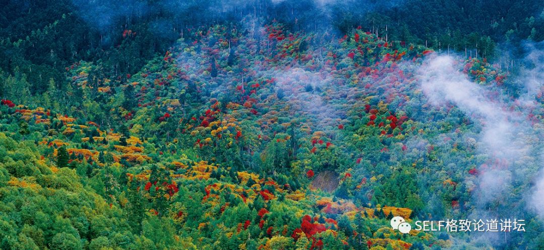 新疆天山世界文化遗产,天山为什么被入选为世界自然遗产