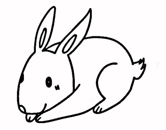 兔子的简笔画和它的特征,兔子的简笔画漂亮颜色