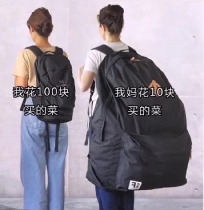 猫咪带回家后不解手,学会哪招才能让不听话的猫咪听话