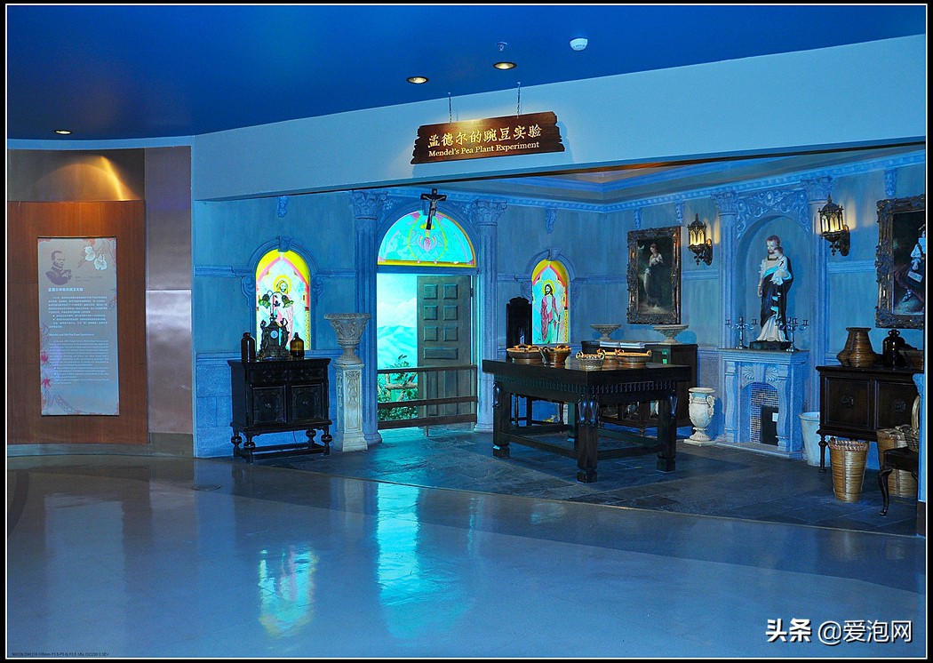 上海科技馆游玩攻略,上海科技馆亲子游玩攻略