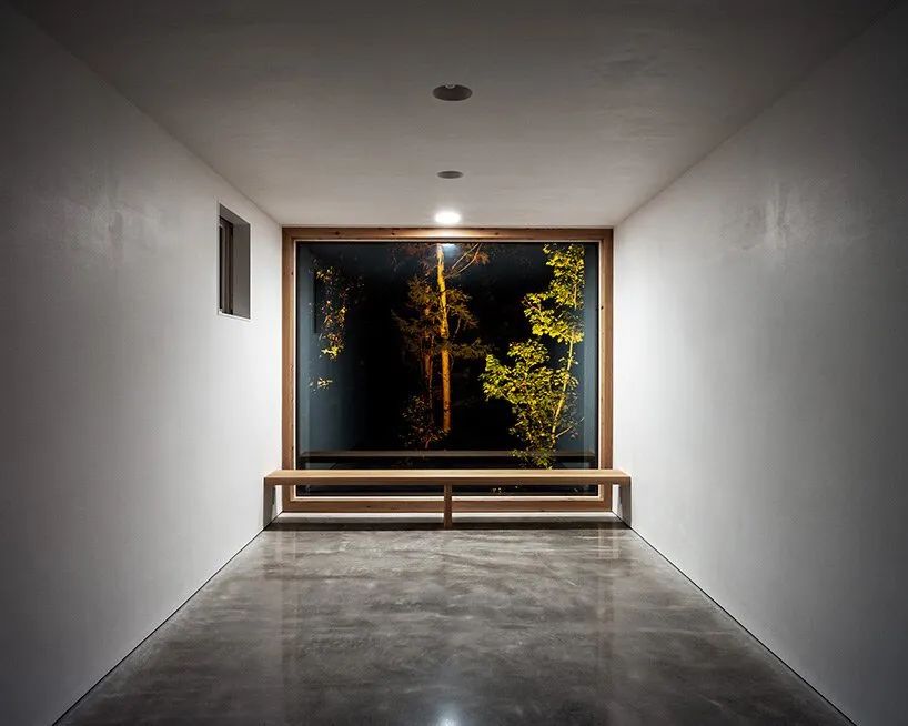 森林屋建筑,林中木屋建筑