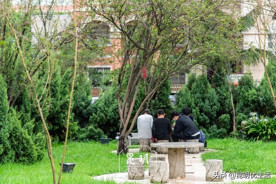 我眼中的云南财经大学,母校云南财经大学