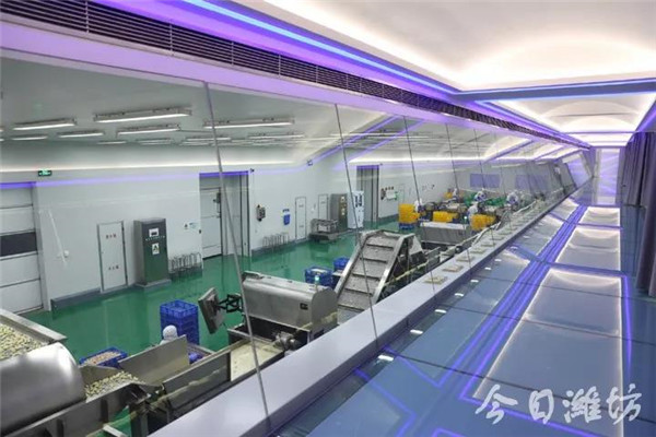 潍坊市乡村振兴方案,潍坊乡村振兴村庄项目