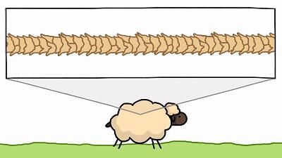 被洗缩水的羊毛衫还有救么,羊毛衫一洗就烂几个洞