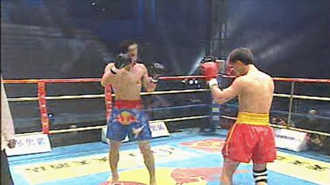 散打王一战成名,中国散打王腿法集锦