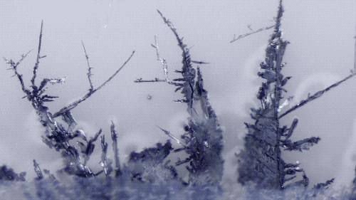 喝骨头汤大补吗,大骨头汤的嘌呤多高