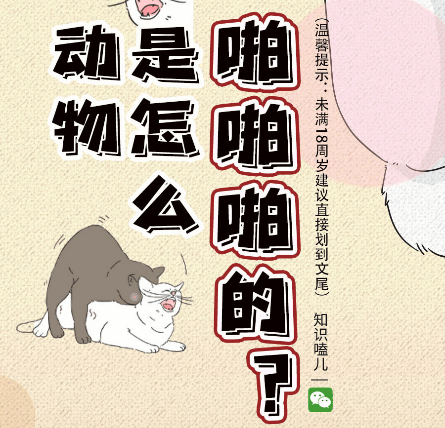 那些羞羞的事:动物是如何啪啪啪的?