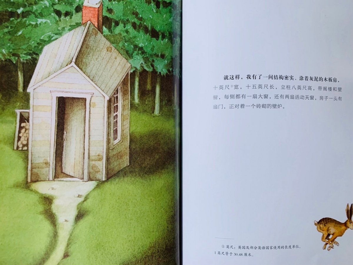 一年级绘本亲子共读视频,一年级绘本读书分享