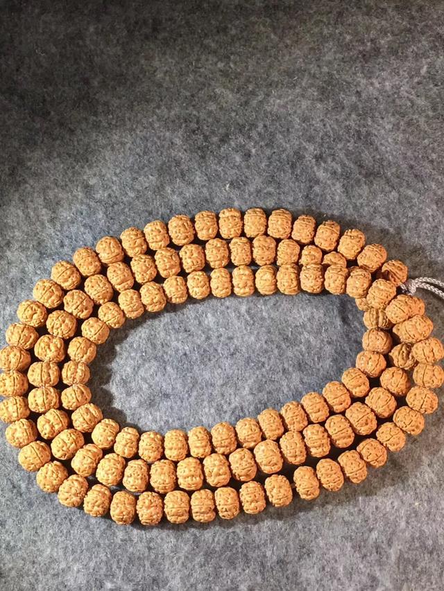 金刚菩提有什么套路,小心驶得万年船是什么意思