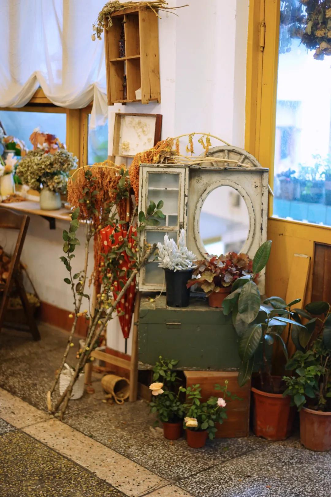 成都两个小姑娘开的老房子花艺杂货铺，外地游客不远千里专程打卡