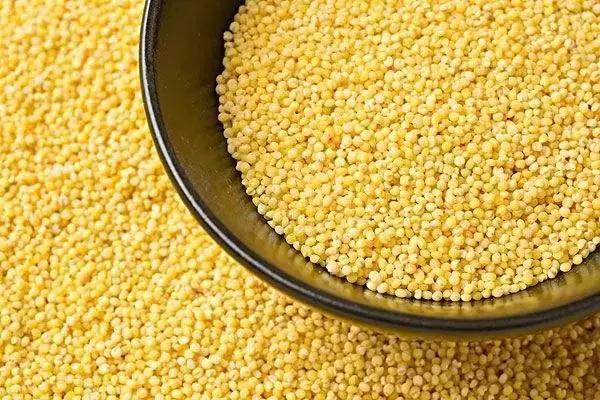 不吃主食减肥的你请看过来,不吃主食的减肥方式你还在坚持吗