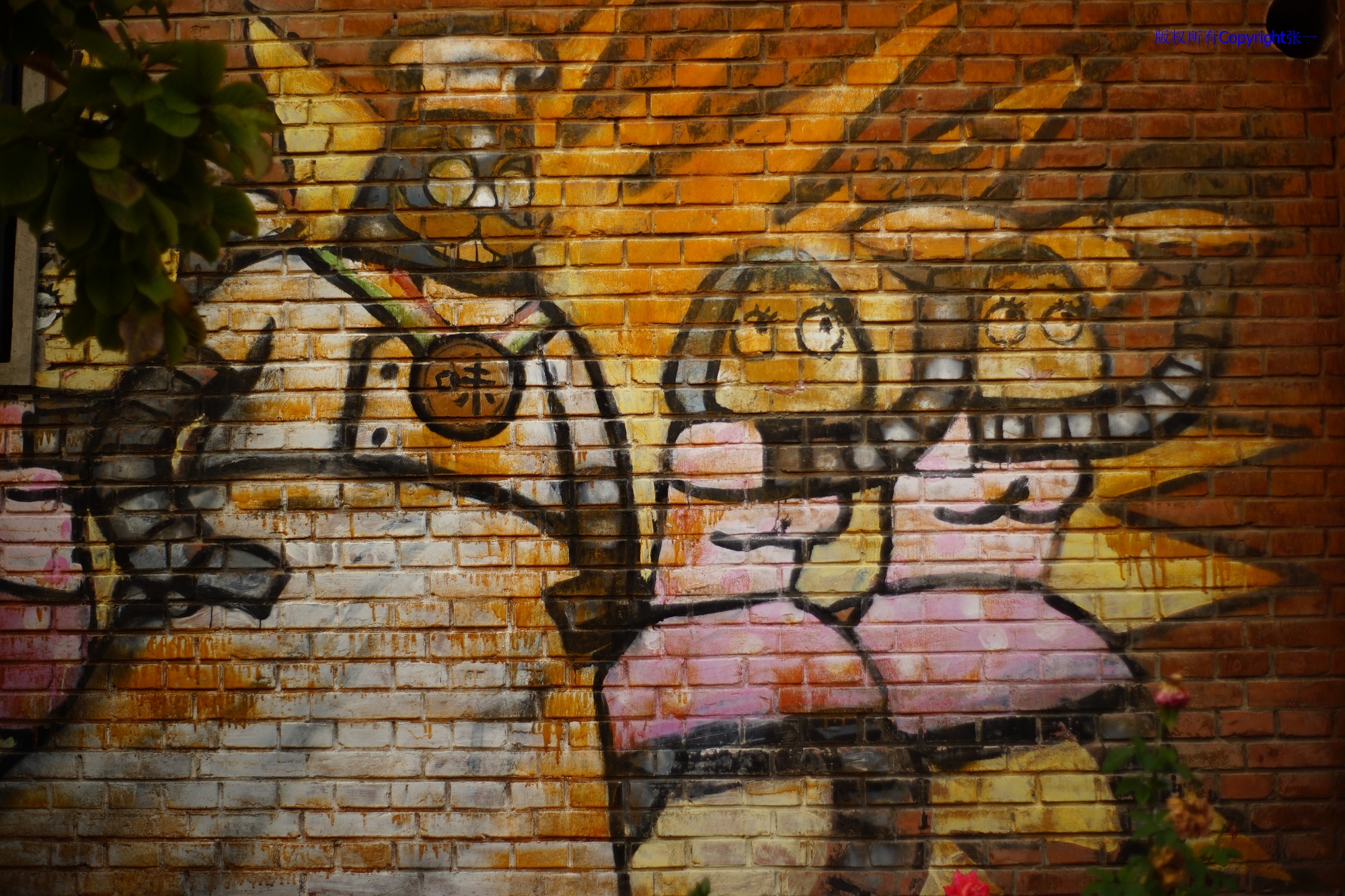 凤凰dc818相机现在能用吗,凤凰dc828mw相机怎么样