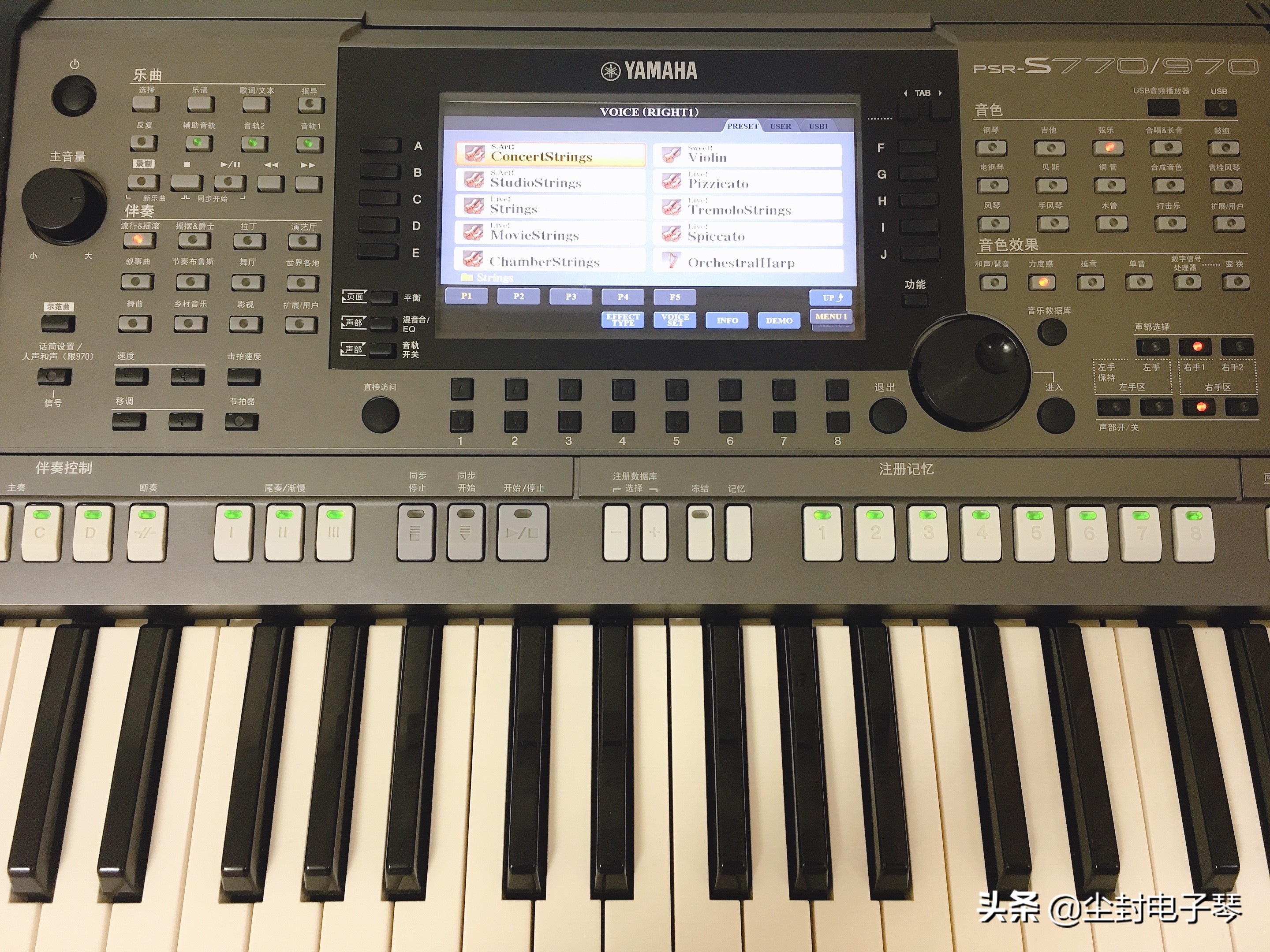 新手学习电子琴怎么入门,新手学习电子琴