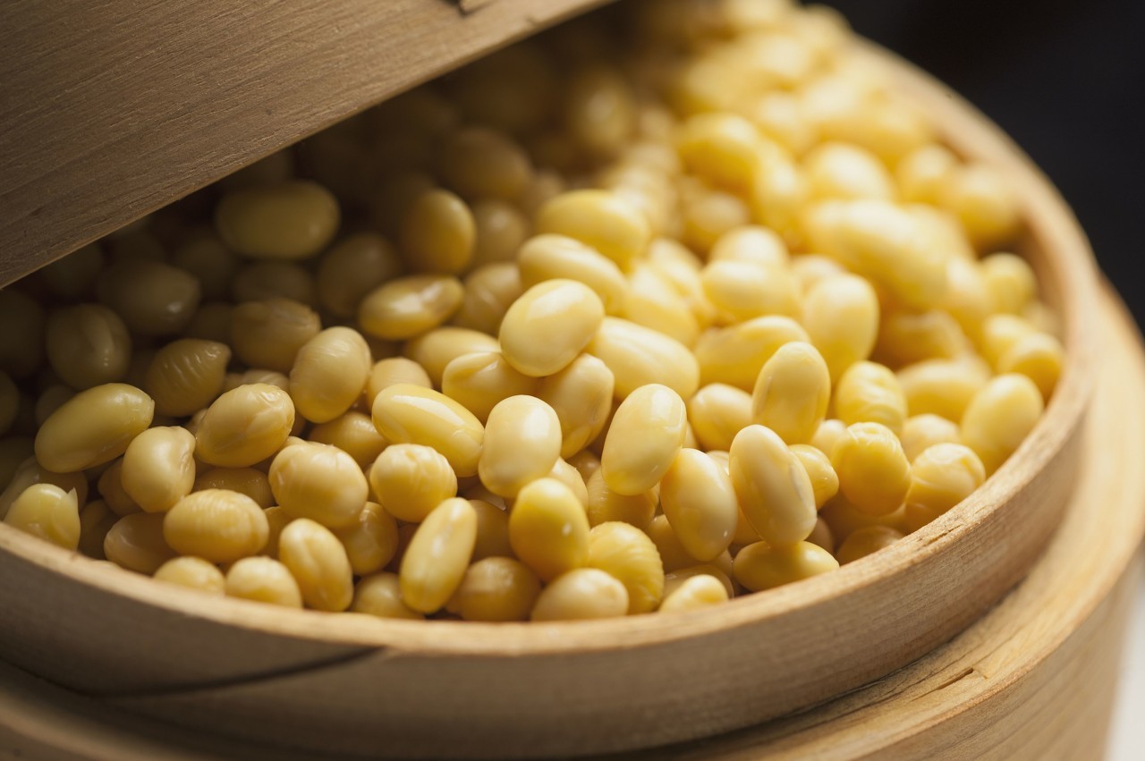 东北大豆近期行情,东北大豆目前价格还能上涨么