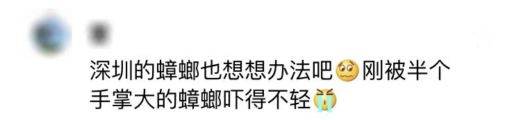 家里蟑螂多用哪种杀蟑办法,家中蟑螂怎么彻底消灭