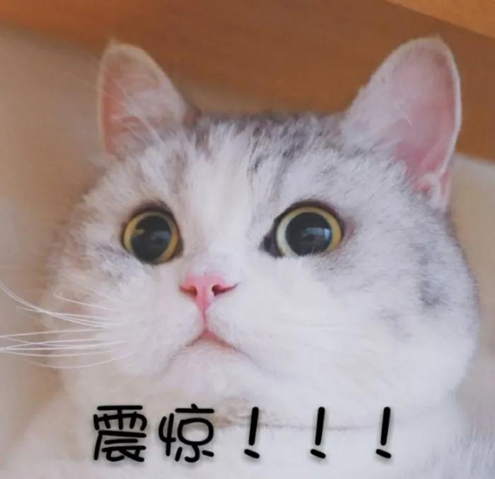 宝宝面霜推荐测评第一名保湿霜,口碑最好的婴儿面霜秋冬测评