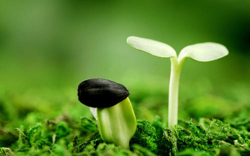 契丹人传统,契丹族习俗特点