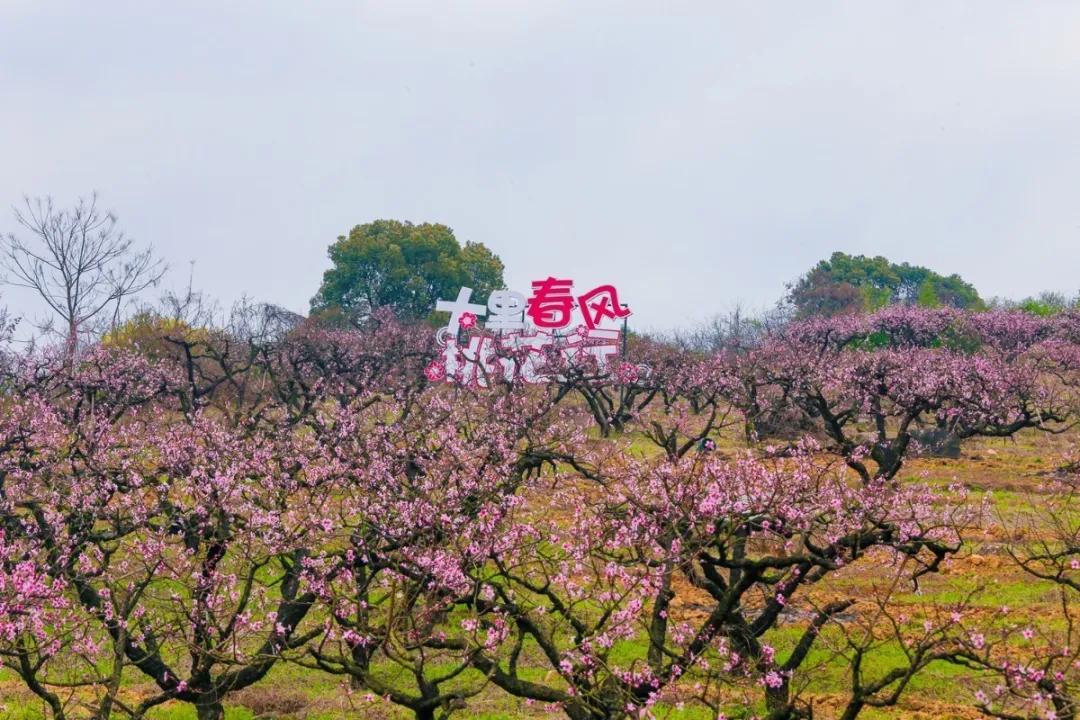 欢呼!余杭9条精品旅游线出炉!瓶窑、塘栖、中泰...太惊艳了!