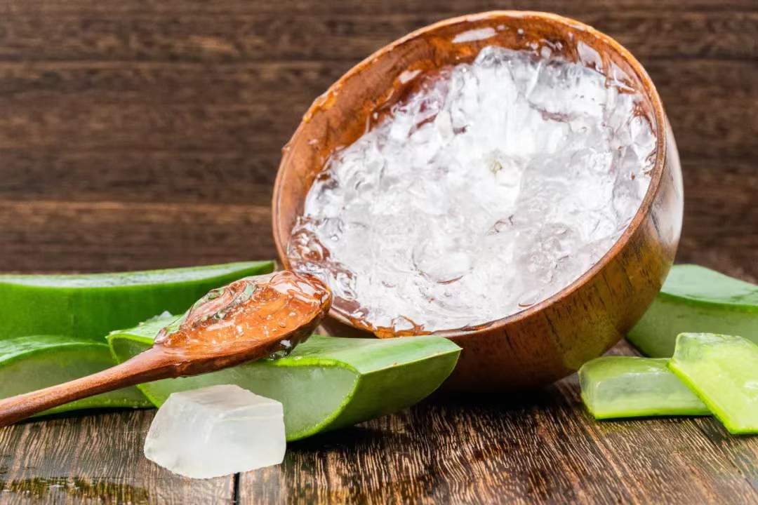 家中的绿植哪些会引起皮肤过敏,家里养的绿植碰了身上痒什么原因