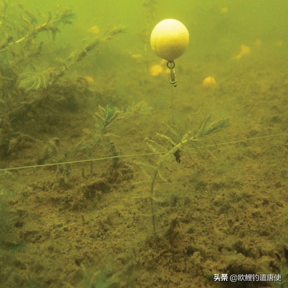 禁渔期一竿一线一钩可钓鱼吗,禁渔期过了一竿一线一钩可钓鱼吗