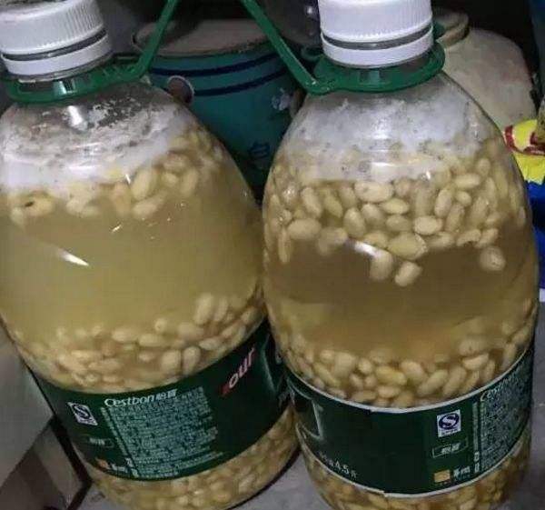 养花用的有机肥怎么除异味,家庭花卉怎样自制无臭味的有机肥