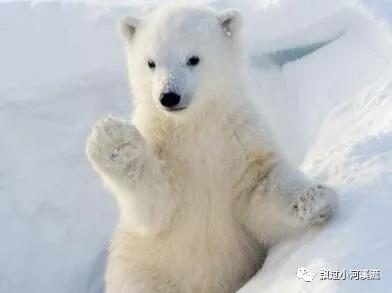 孤独前行（舞文弄墨，自得其乐）