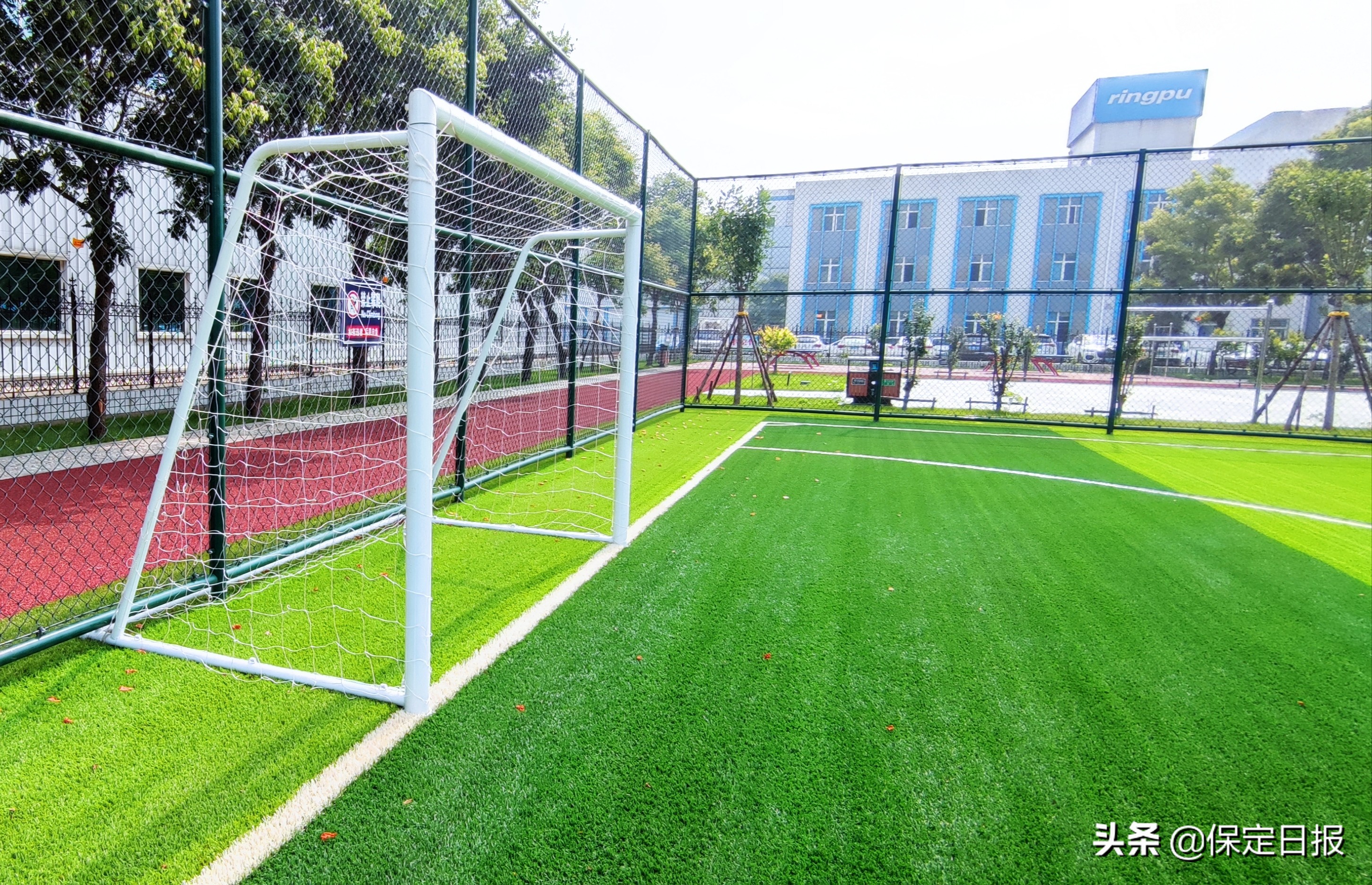 保定冠军摇篮,保定冠军的摇篮