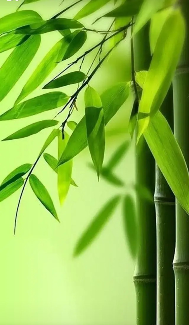 漂亮桌面壁纸,最漂亮的手机桌面壁纸