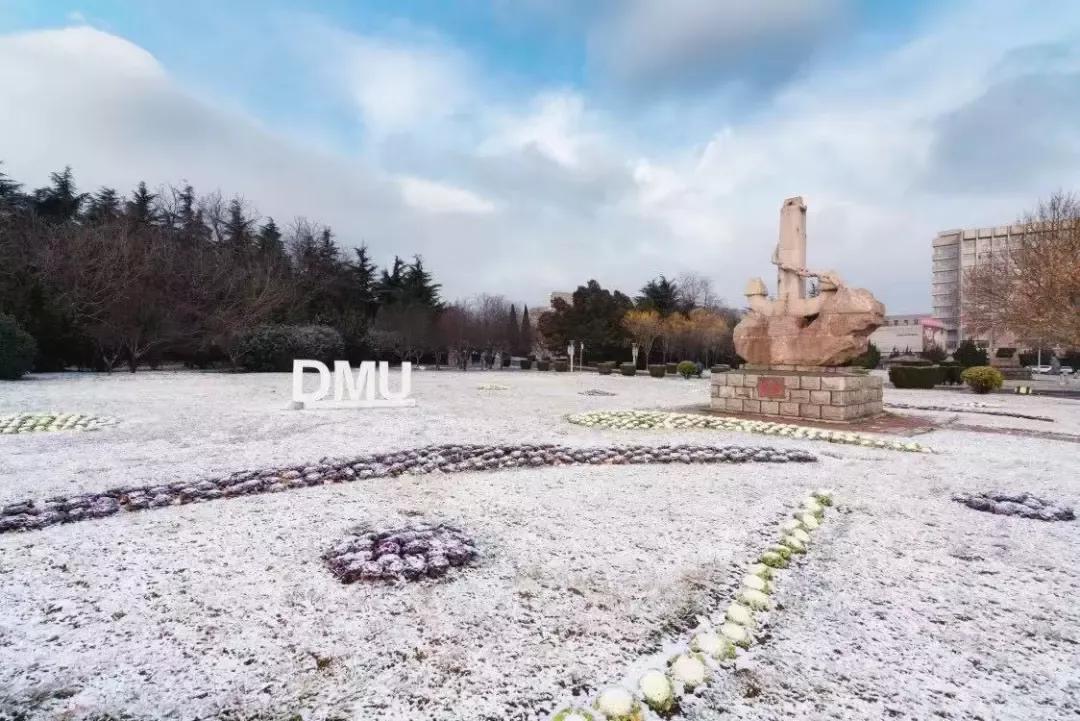 大连海事大学和辽宁省哪个级别高,大连海事大学辽宁省大学排名